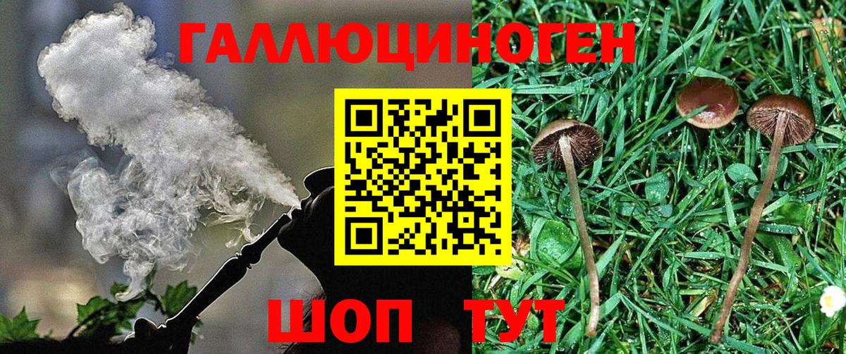 Симферополь  Галлюциногенные грибы GOLDEN TEACHER  Вход с VPN  Псилоцибиновые грибы Cubensis 